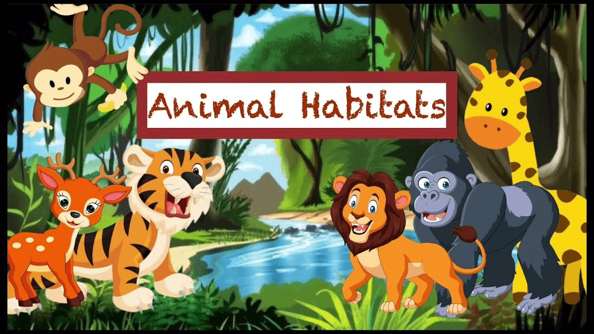 Animals – Habitats and Adaptations