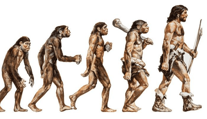 Timeline of Human History