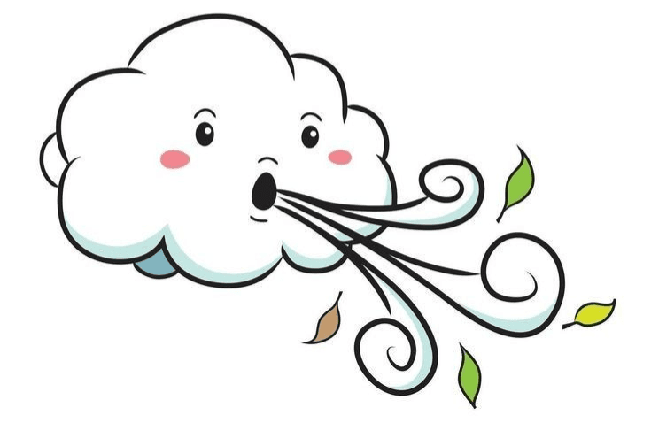 Winds, Storms and Cyclone
