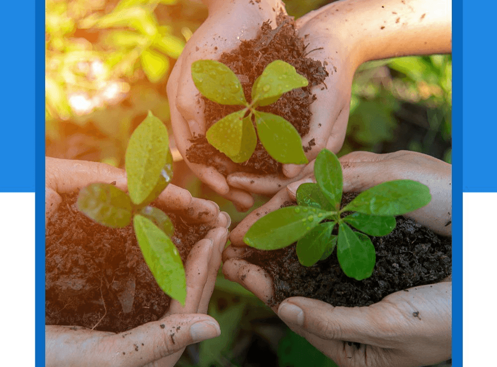 Getting to Know Plants