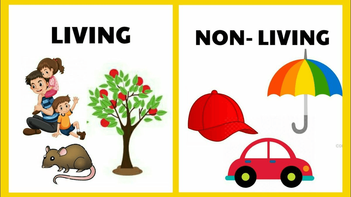 Characteristics of Living and Non-Living Things