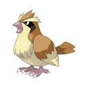 option image